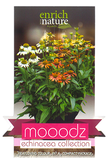 Echinacea Moodz label.png